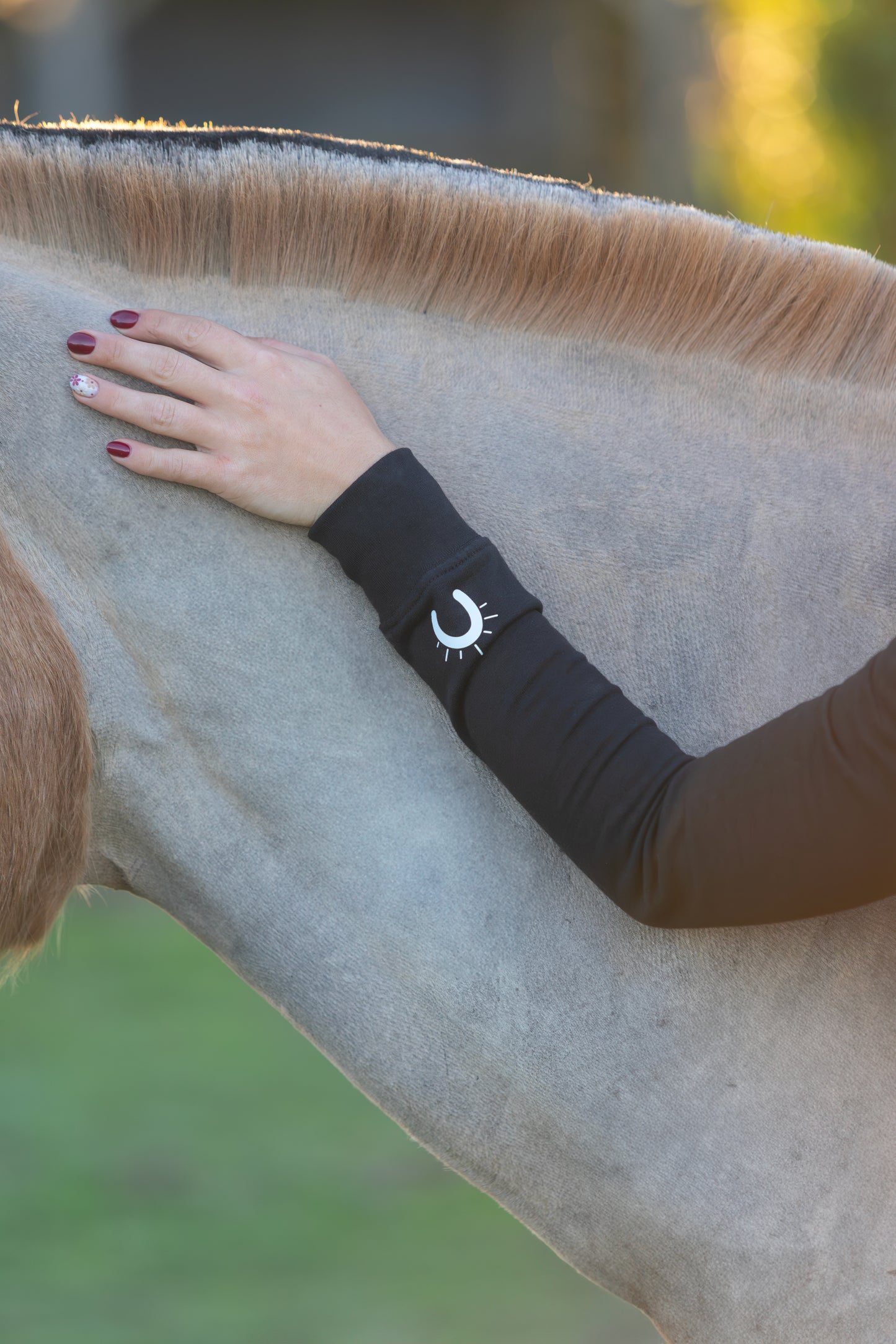 Hoodie Horse Is Therapy