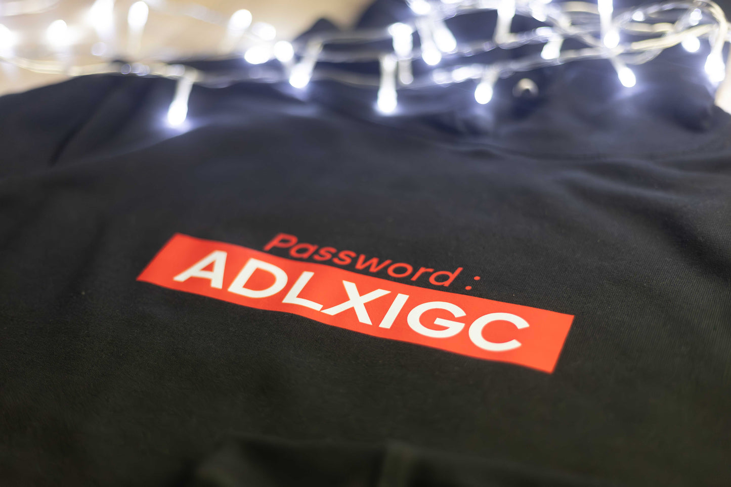 Hoodie Password