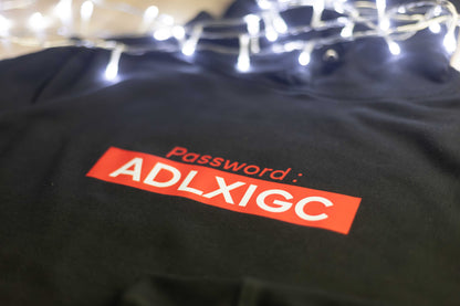 Hoodie Password